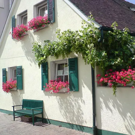 Ferienhaus Ferienhaus Wiek Am Main *